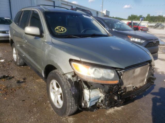 HYUNDAI SANTA FE G 2007 with VIN 5NMSG13D07H051887 - Photo from auction