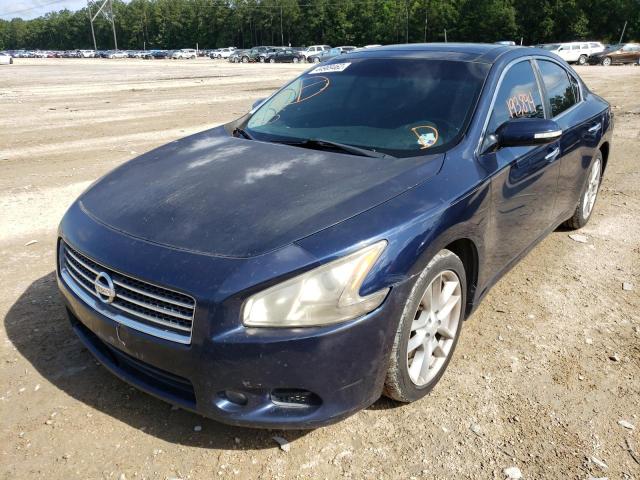 Photo 2 from auction – 2010 NISSAN MAXIMA S with VIN 1N4AA5AP6AC845838