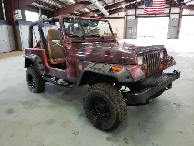 JEEP WRANGLER / 1995 with VIN 1J4FY19P8SP225277 - Photo from auction
