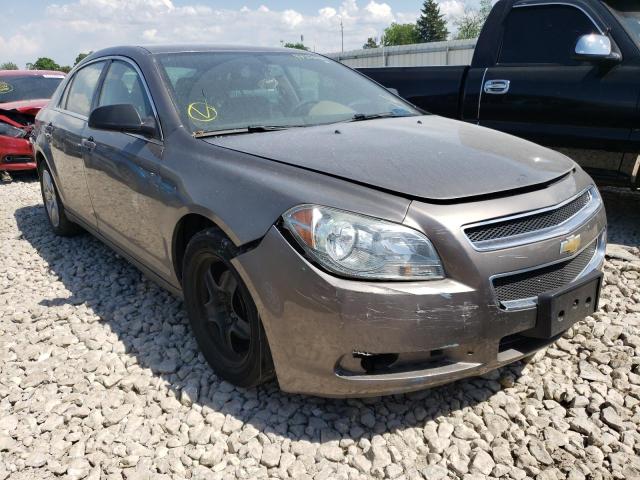 CHEVROLET MALIBU LS 2011 with VIN 1G1ZB5E12BF207286 - Photo from auction