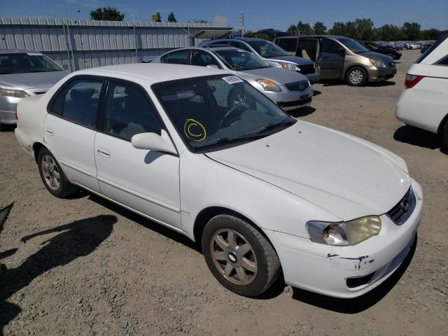 TOYOTA COROLLA CE 2002 with VIN 1NXBR12E02Z620903 - Photo from auction