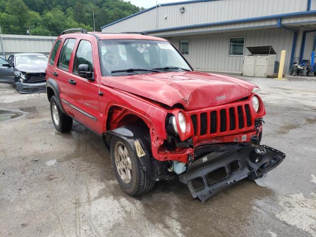 JEEP LIBERTY SP 2002 with VIN 1J4GL48K02W356123 - Photo from auction