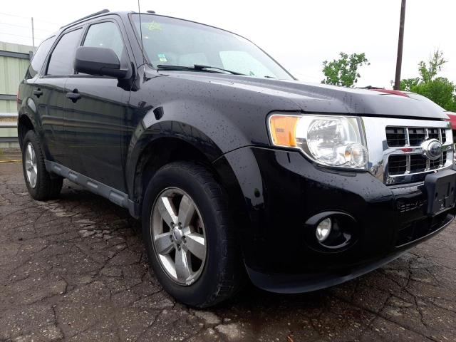 FORD ESCAPE XLT 2009 with VIN 1FMCU03G89KC81567 - Photo from auction