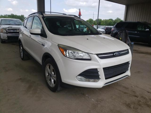 FORD ESCAPE SE 2013 with VIN 1FMCU0G96DUC39066 - Photo from auction