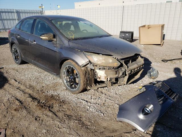 FORD FOCUS SE 2014 with VIN 1FADP3F23EL241649 - Photo from auction