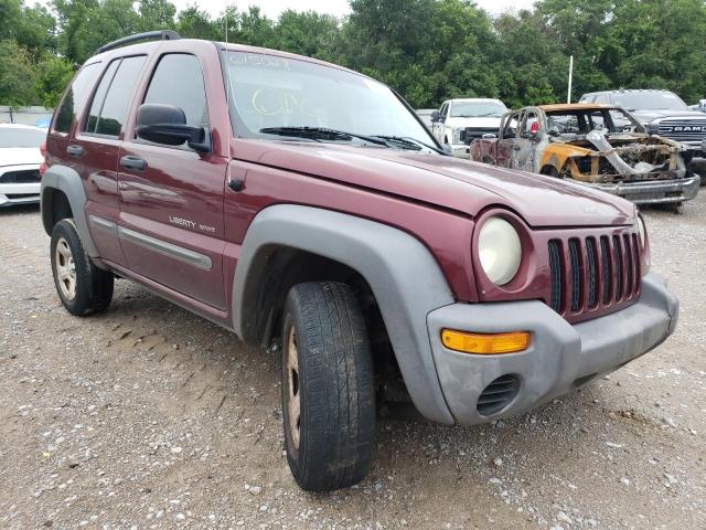 JEEP LIBERTY SP 2003 with VIN 1J4GL48K73W615028 - Photo from auction
