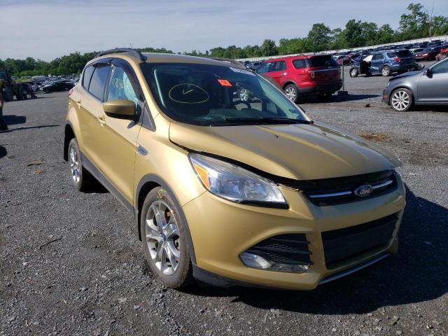 FORD ESCAPE SE 2014 with VIN 1FMCU9G98EUC15597 - Photo from auction