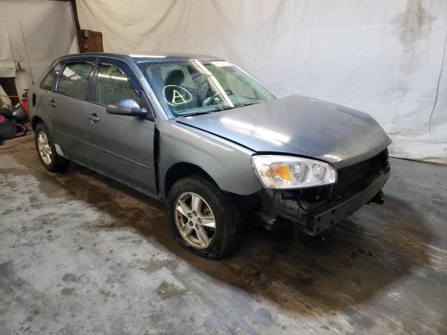CHEVROLET MALIBU MAX 2004 with VIN 1G1ZT64834F216843 - Photo from auction