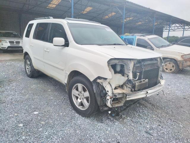 HONDA PILOT EXL 2010 with VIN 5FNYF3H58AB021202 - Photo from auction