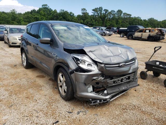 FORD ESCAPE SE 2014 with VIN 1FMCU9GX6EUD91207 - Photo from auction