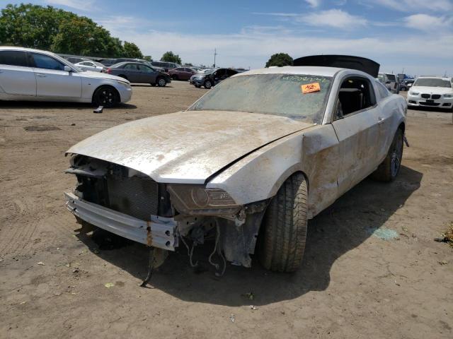 Photo 2 from auction – 2014 FORD MUSTANG with VIN 1ZVBP8AM3E5259397