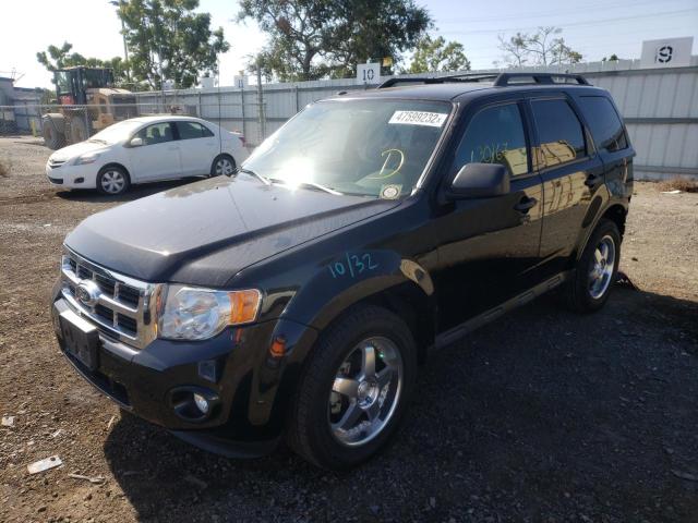 Photo 2 from auction – 2010 FORD ESCAPE XLT with VIN 1FMCU0DG3AKB63445