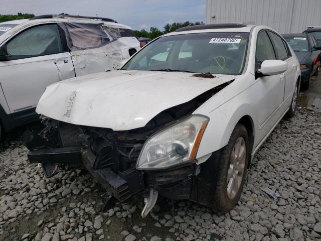 Photo 2 from auction – 2008 NISSAN MAXIMA SE with VIN 1N4BA41EX8C829293