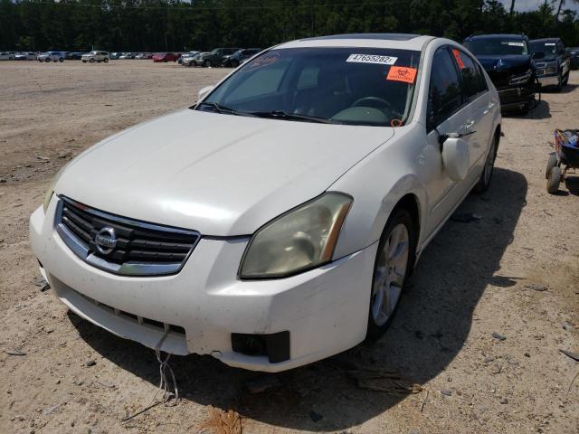Photo 2 from auction – 2008 NISSAN MAXIMA SE with VIN 1N4BA41E18C837122