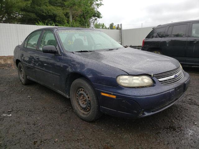 CHEVROLET MALIBU 2001 with VIN 1G1ND52J916254892 - Photo from auction