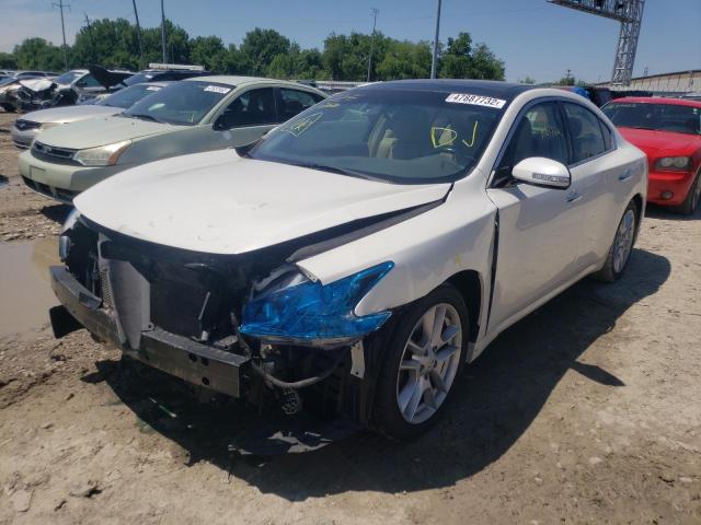 Photo 2 from auction – 2010 NISSAN MAXIMA S with VIN 1N4AA5AP9AC869454