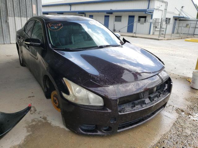 NISSAN MAXIMA 2010 with VIN 1N4AA5APXAC871276 - Photo from auction