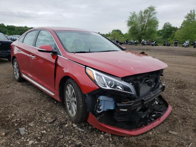 HYUNDAI SONATA SPO 2017 with VIN 5NPE34AF2HH556719 - Photo from auction