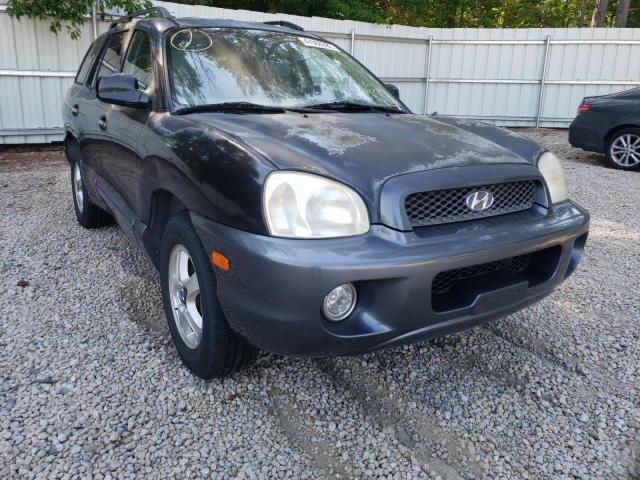 HYUNDAI SANTA FE G 2003 with VIN KM8SC13E73U551306 - Photo from auction