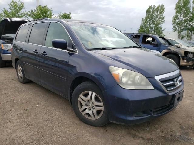 HONDA ODYSSEY EX 2005 with VIN 5FNRL38655B510264 - Photo from auction