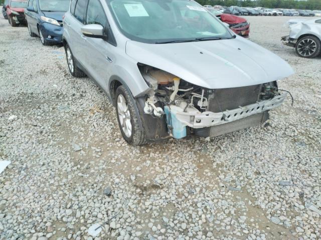 FORD ESCAPE SEL 2013 with VIN 1FMCU0H95DUD52070 - Photo from auction