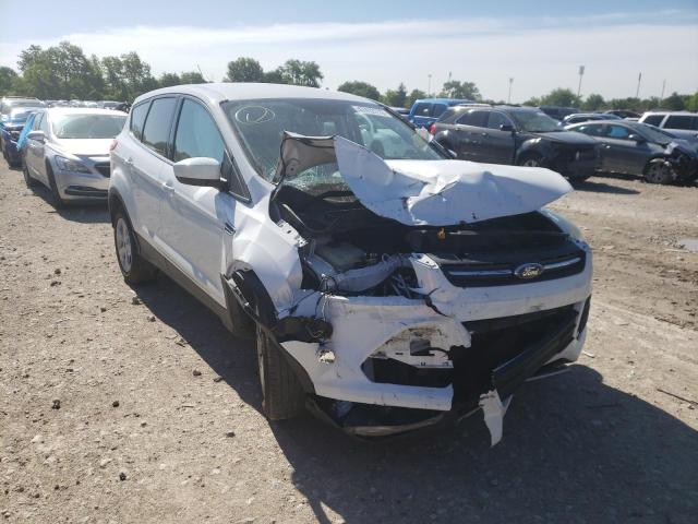 FORD ESCAPE SE 2014 with VIN 1FMCU9GX7EUB09883 - Photo from auction