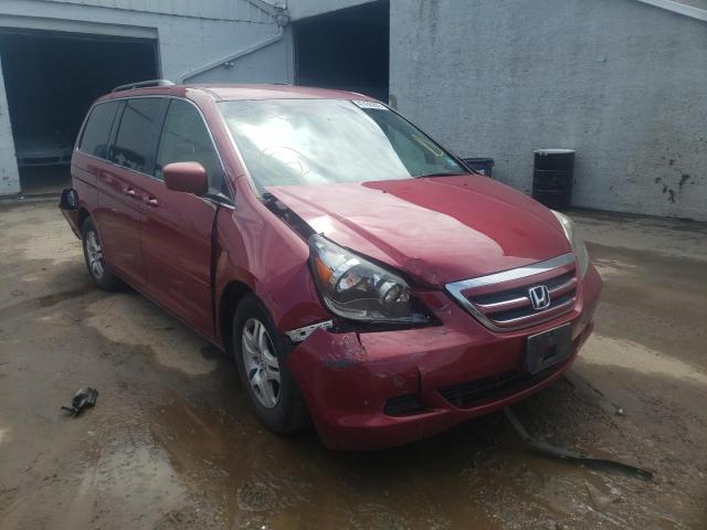 HONDA ODYSSEY EX 2005 with VIN 5FNRL38485B005575 - Photo from auction