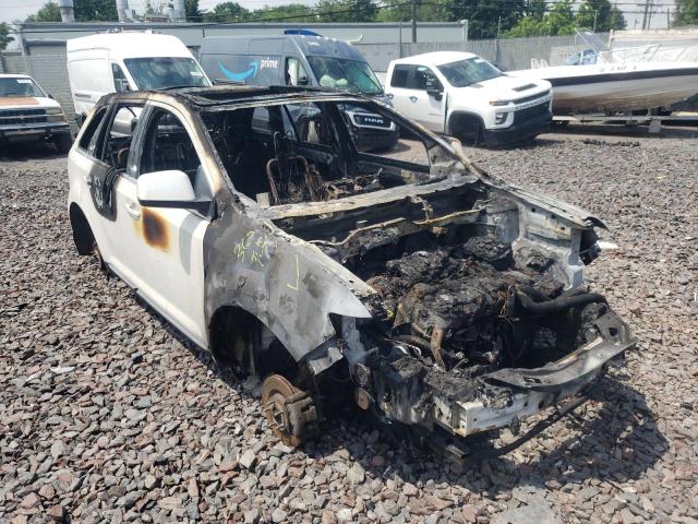 FORD EDGE LIMIT 2009 with VIN 2FMDK39CX9BA88895 - Photo from auction