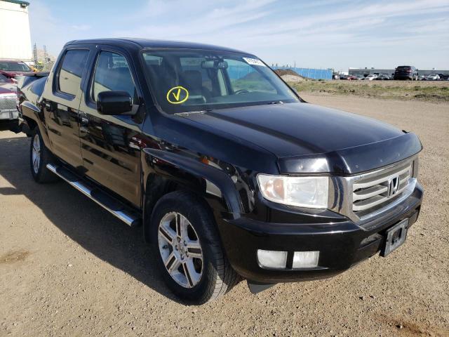 HONDA RIDGELINE 2014 with VIN 5FPYK1F56EB501979 - Photo from auction