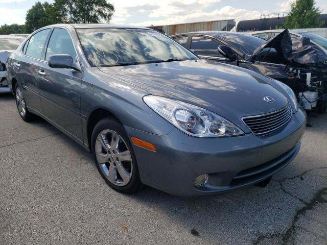 LEXUS ES 330 2005 with VIN JTHBA30G155123920 - Photo from auction