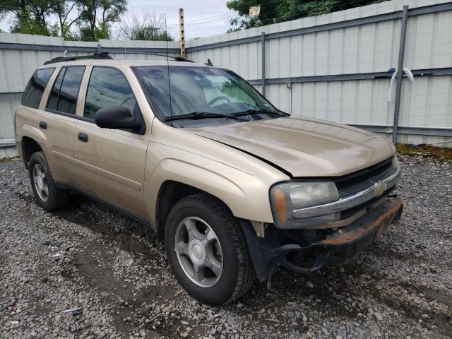 CHEVROLET TRAILBLAZE 2007 with VIN 1GNDS13S172165849 - Photo from auction