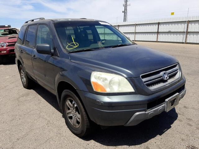 HONDA PILOT EXL 2005 with VIN 5FNYF18695B033894 - Photo from auction