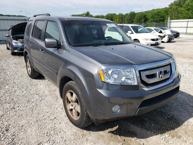 HONDA PILOT EXL 2011 with VIN 5FNYF4H66BB096691 - Photo from auction
