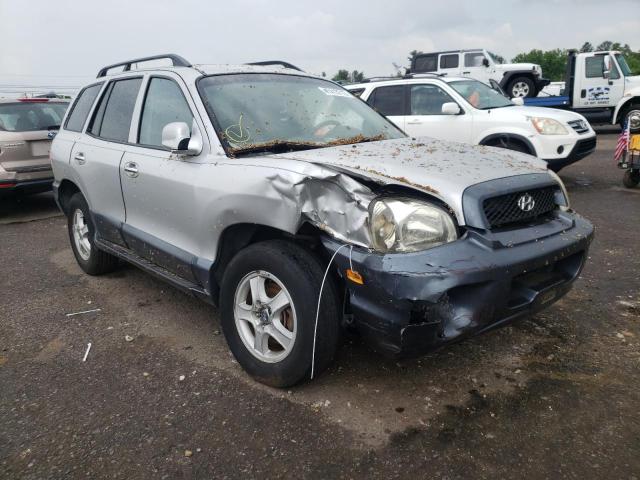 HYUNDAI SANTA FE G 2003 with VIN KM8SC73E23U563186 - Photo from auction