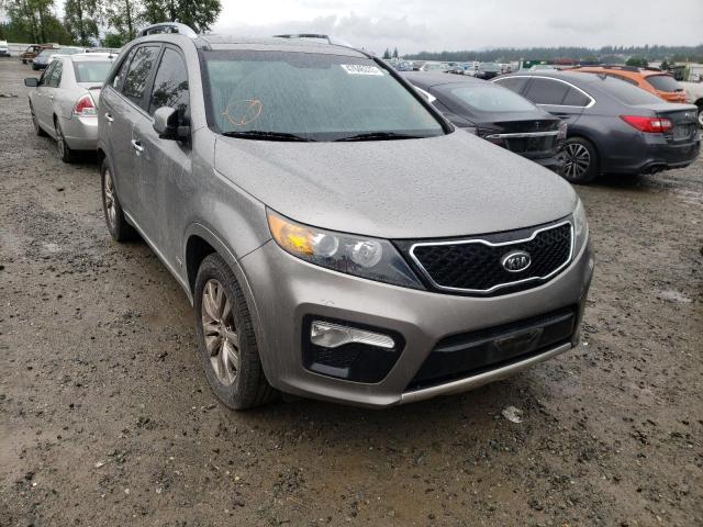 KIA SORENTO SX 2011 with VIN 5XYKWDA28BG160414 - Photo from auction