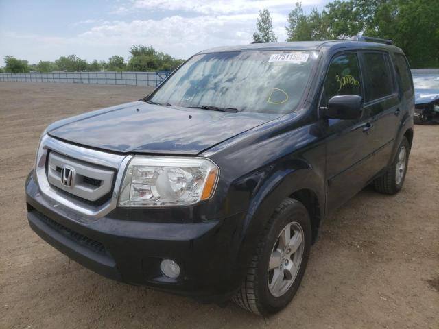 Photo 2 from auction – 2009 HONDA PILOT EXL with VIN 5FNYF48689B503484