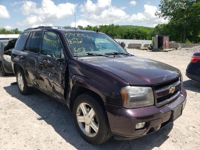 CHEVROLET TRAILBLAZE 2008 with VIN 1GNDT13S082186562 - Photo from auction