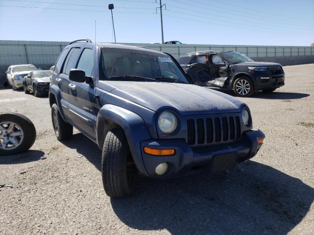 Photo 1 from auction – 2003 JEEP LIBERTY LI with VIN 1J4GL58K53W681714