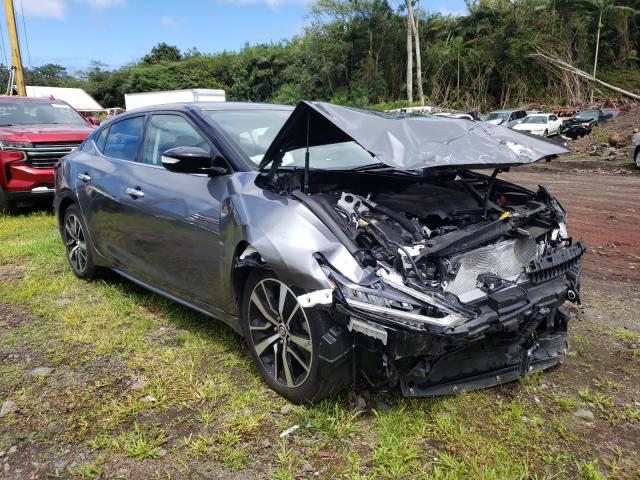 NISSAN MAXIMA SV 2021 with VIN 1N4AA6CV9MC514502 - Photo from auction