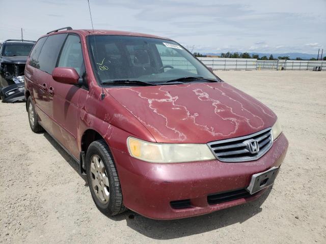 HONDA ODYSSEY EX 2002 with VIN 5FNRL18652B051964 - Photo from auction