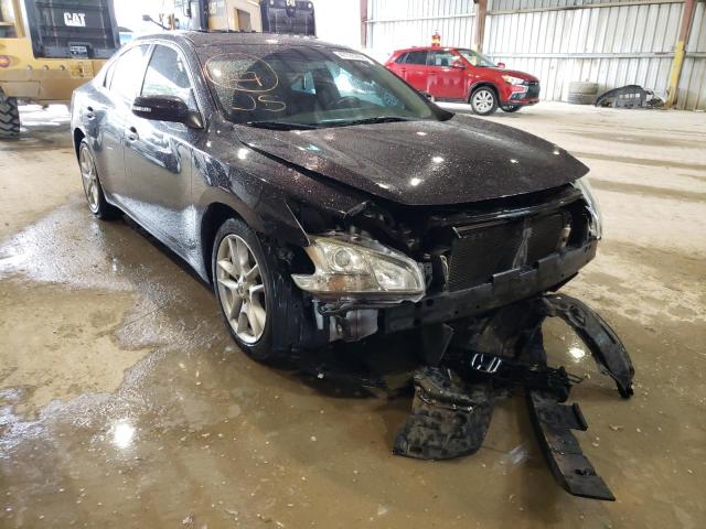 NISSAN MAXIMA S 2011 with VIN 1N4AA5AP3BC831591 - Photo from auction
