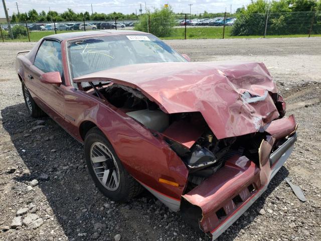 PONTIAC FIREBIRD B 1989 with VIN 1G2FS21E8KL257505 - Photo from auction