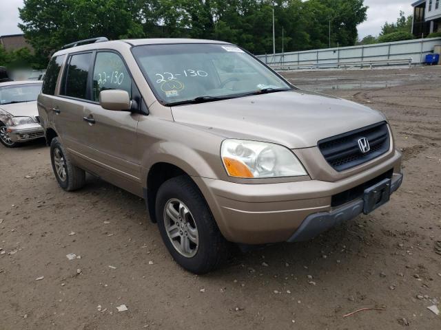 HONDA PILOT EXL 2004 with VIN 2HKYF18684H568330 - Photo from auction