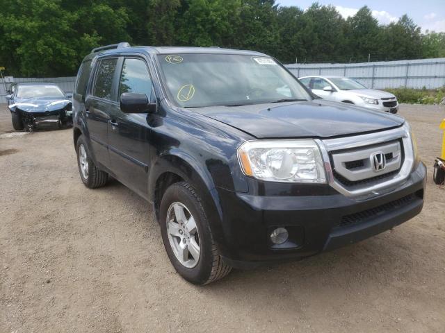 HONDA PILOT EXL 2009 with VIN 5FNYF48689B503484 - Photo from auction