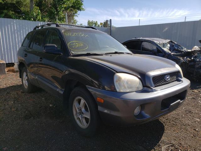 HYUNDAI SANTA FE 2004 with VIN KM8SC73E84U711231 - Photo from auction