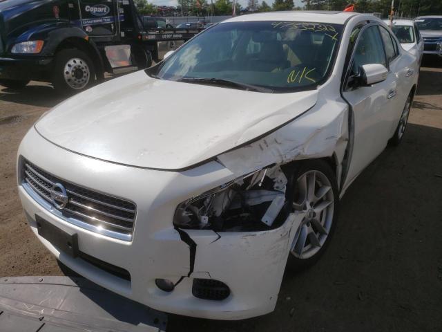 Photo 2 from auction – 2011 NISSAN MAXIMA S with VIN 1N4AA5AP4BC816131