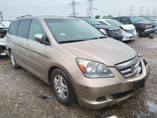 HONDA ODYSSEY EX 2005 with VIN 5FNRL38705B021179 - Photo from auction