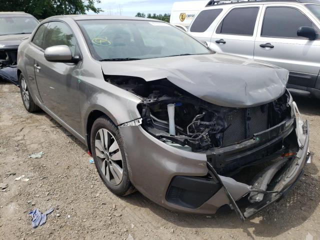 KIA FORTE EX 2013 with VIN KNAFU6A21D5675394 - Photo from auction