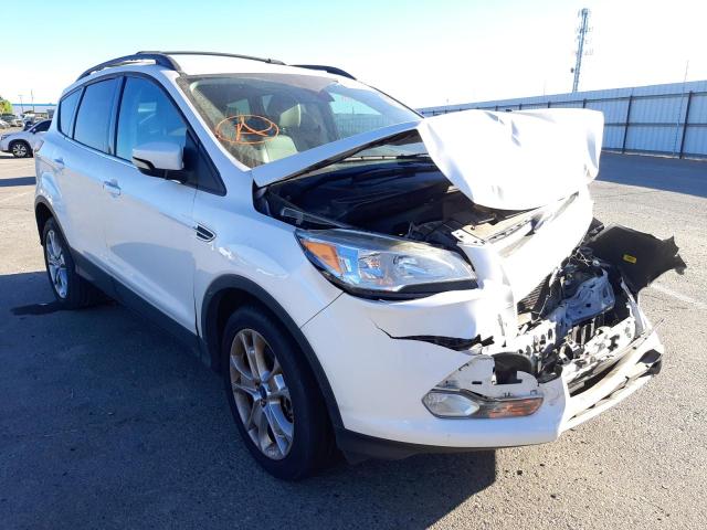 FORD ESCAPE SEL 2013 with VIN 1FMCU0H99DUC86767 - Photo from auction