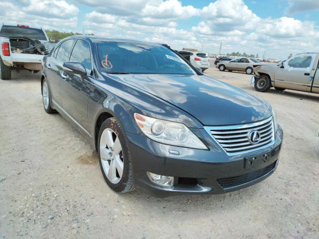 LEXUS LS 460 2010 with VIN JTHBL5EFXA5093302 - Photo from auction